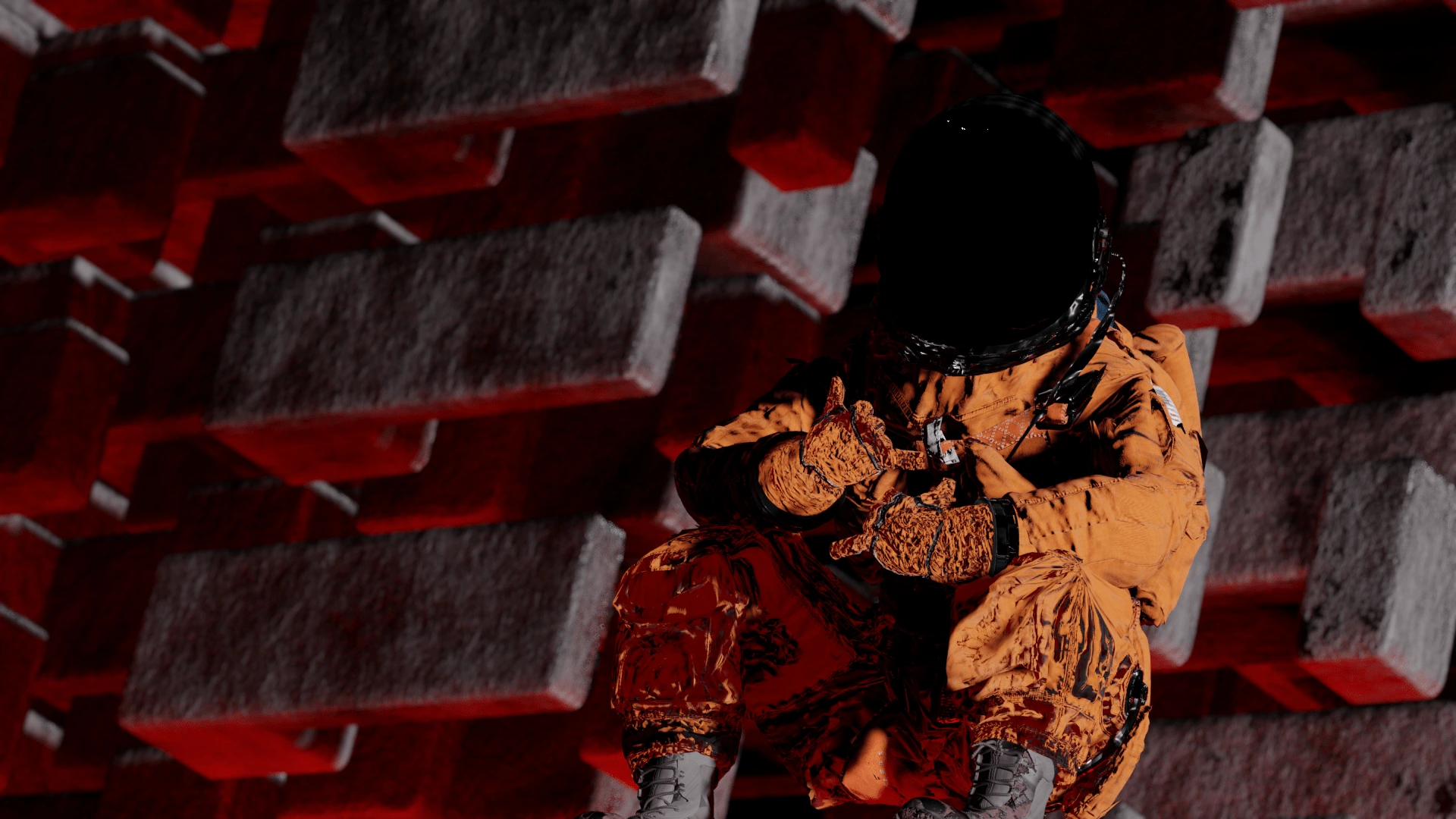 Portfolio media showcase