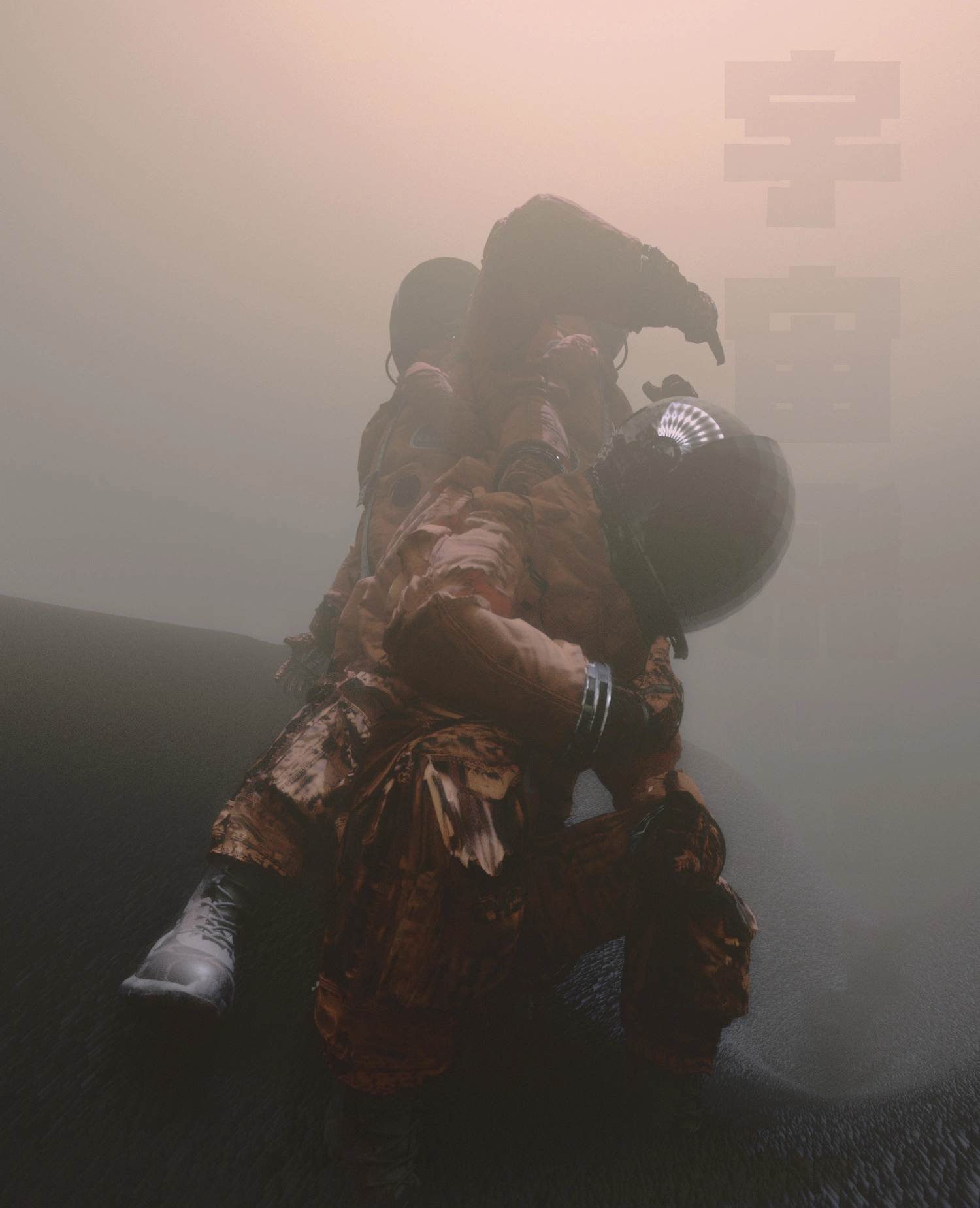 Portfolio media showcase