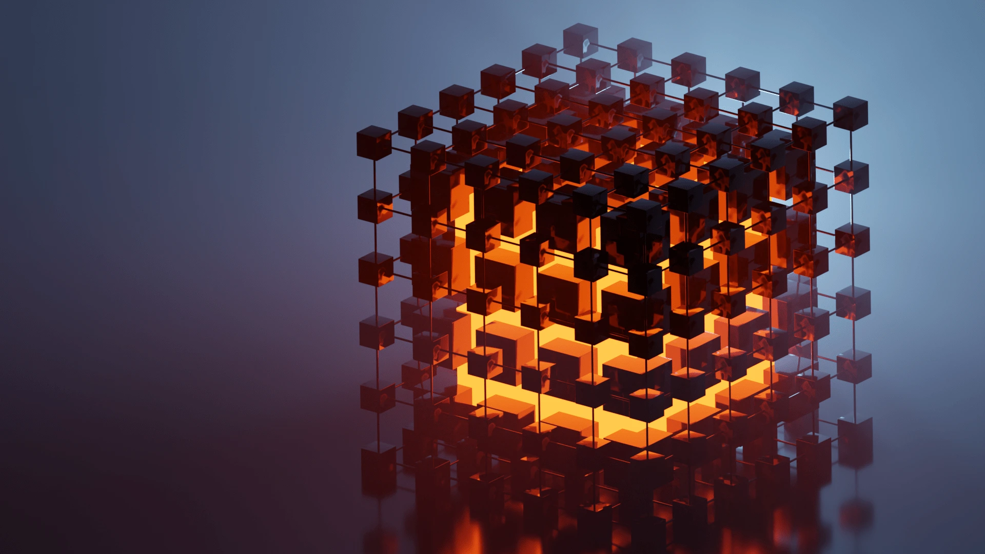 Portfolio media showcase