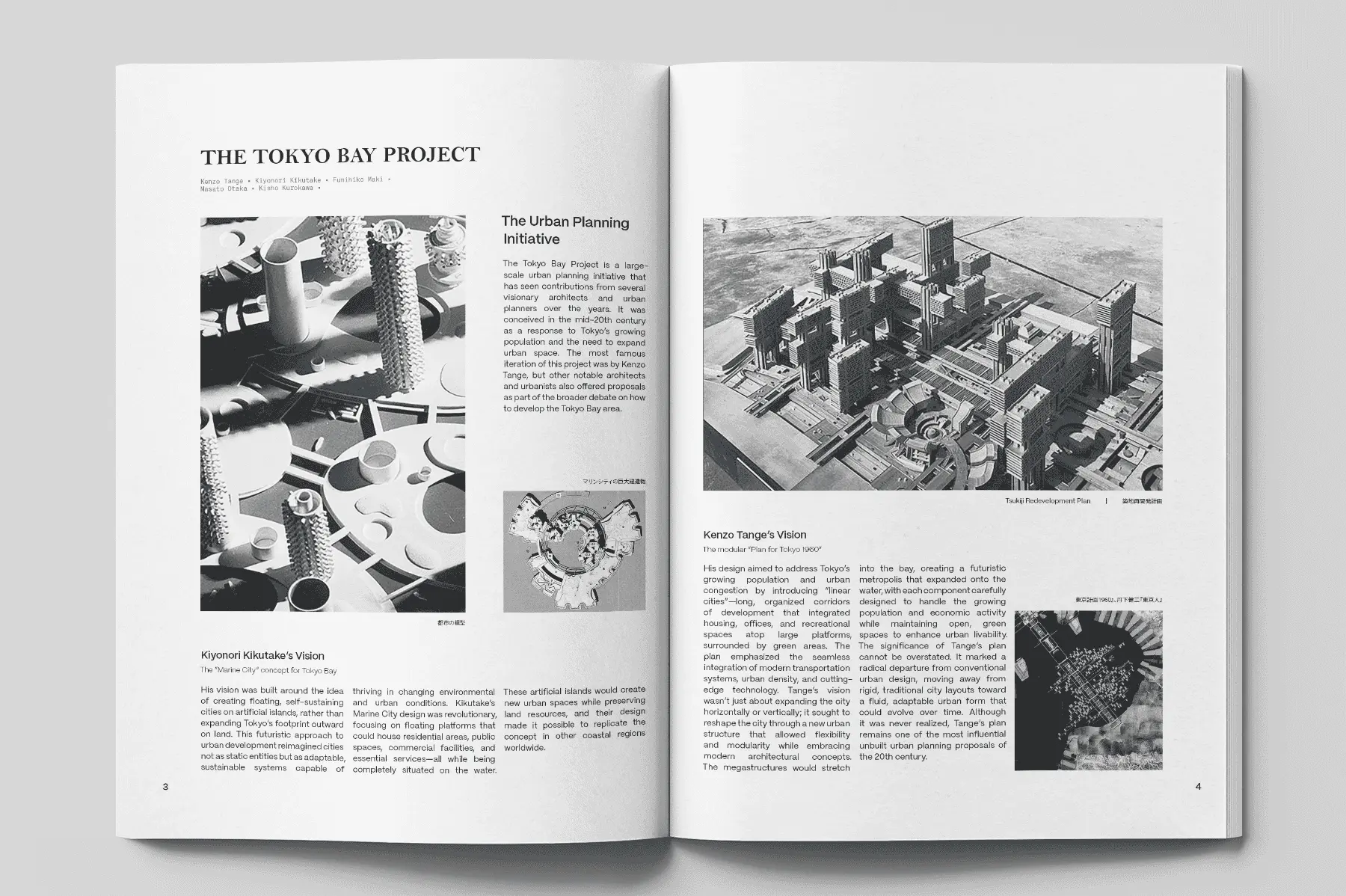 Portfolio media showcase