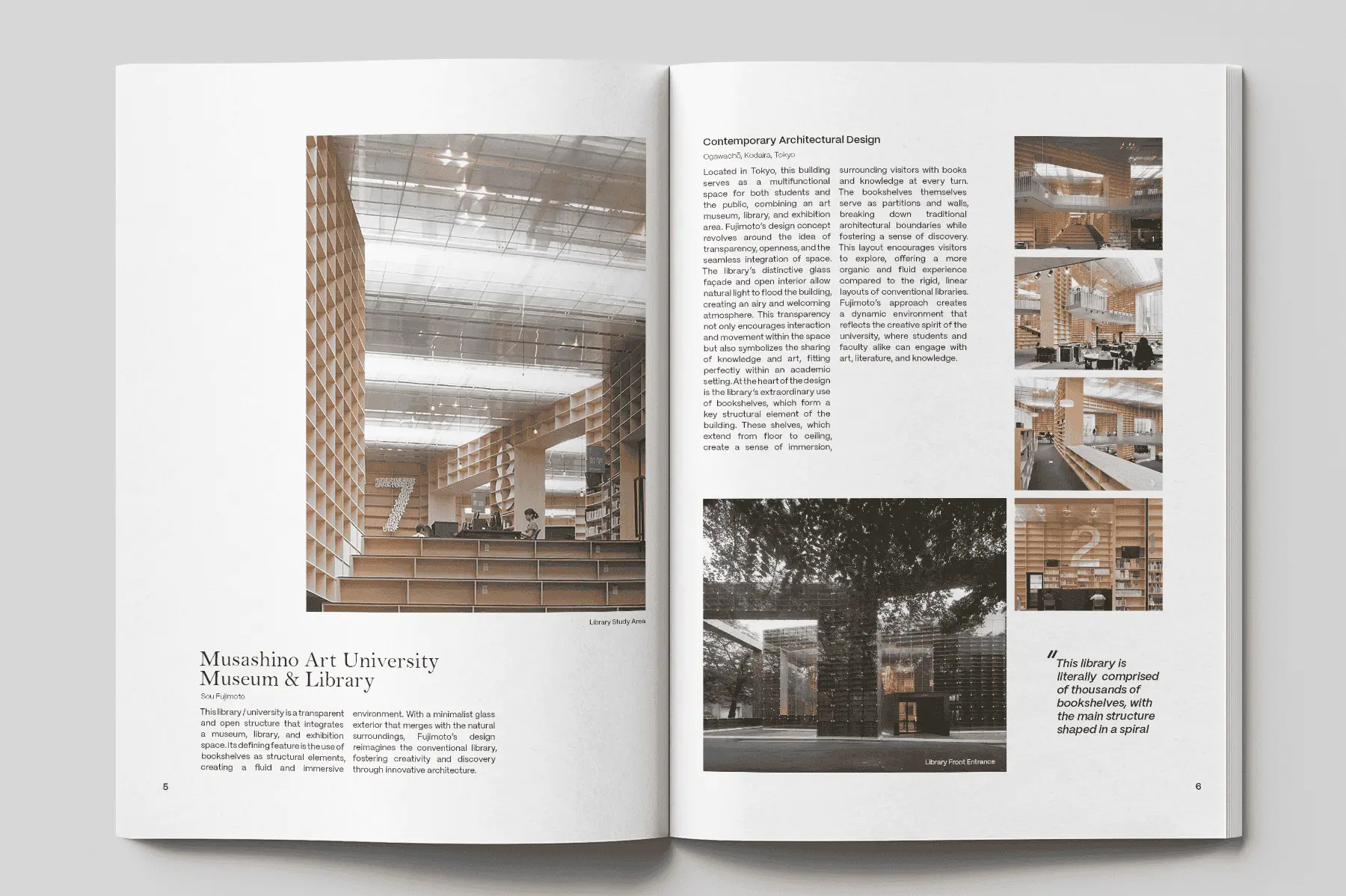 Portfolio media showcase